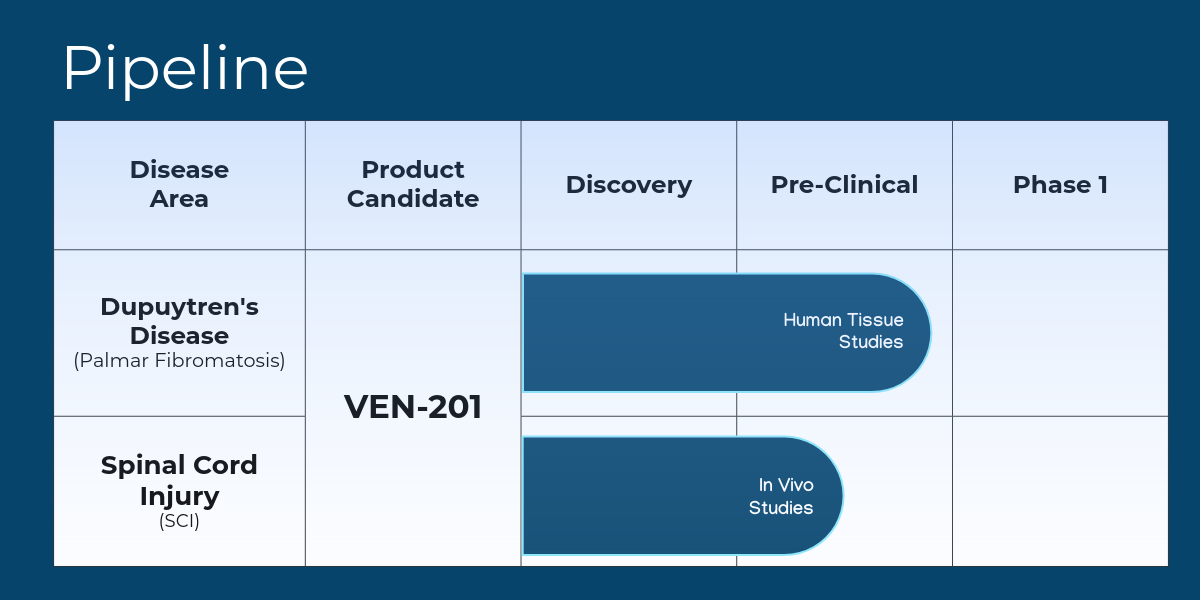 Pipeline chart showing VEN-201 development stages for Dupuytren's disease and spinal cord injury, with columns for Discovery, Pre-Clinical, and Phase 1.